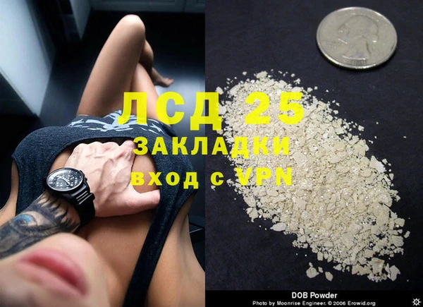 гидра Арсеньев