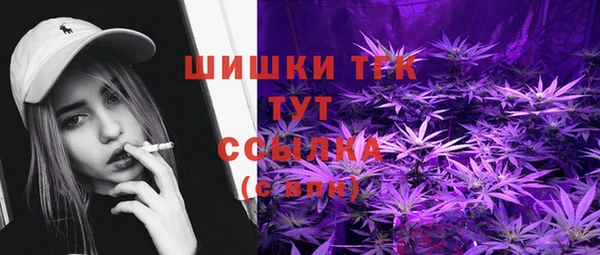гидра Арсеньев
