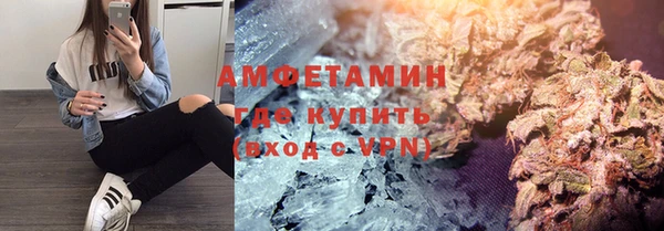 прущие грибы Заводоуковск