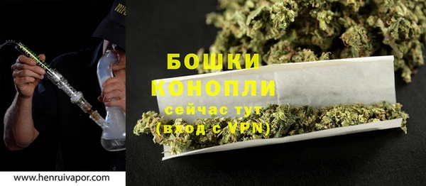 гидра Арсеньев